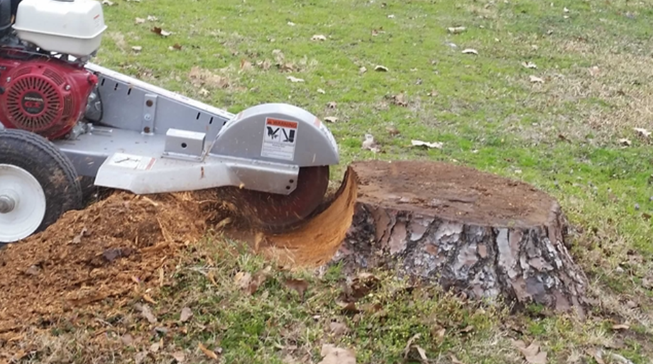 Kitchener stump grinding